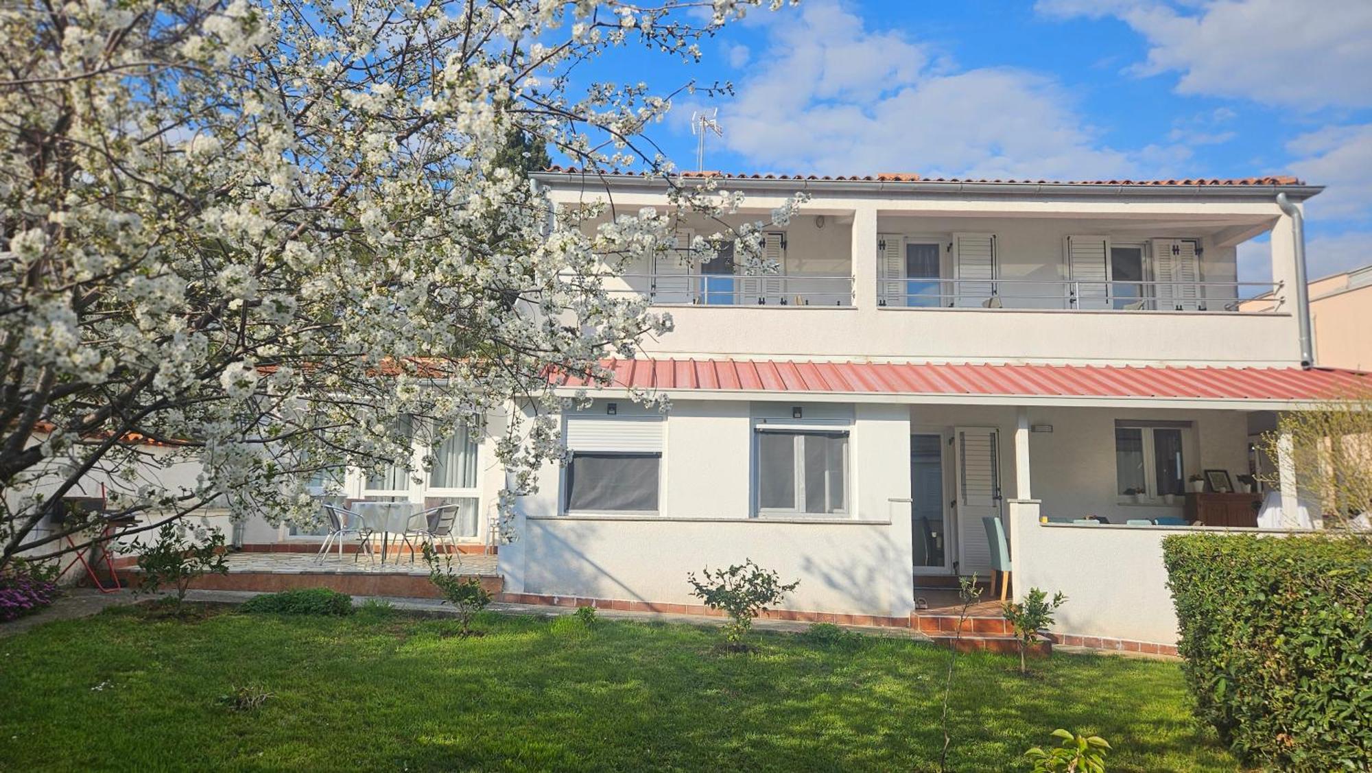 Apartments Betty Borik Rovinj Eksteriør billede